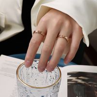 Fashion Titanium Steel Ring Index Finger Trend Gold-plated Female Ring Wholesale sku image 11