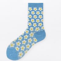 Retro Kleine Gänseblümchen Druck Doppel Nadel Rohr Socken Großhandel Nihao Schmuck sku image 6