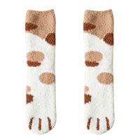 Simple Coral Velvet Thickened Warm Floor Socks Wholesale Nihaojewelry sku image 4