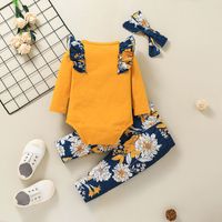 2021 Foreign Trade Children's Wear Baby Long Sleeved Romper Suit European And American Autumn Baby Jumpsuit Floral Two-piece Suit main image 3
