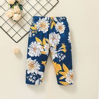2021 Foreign Trade Children's Wear Baby Long Sleeved Romper Suit European And American Autumn Baby Jumpsuit Floral Two-piece Suit main image 4
