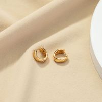 Europäischer Und Amerikanischer Modeschmuck 1 Paar Exquisite Ohrringe Ohrringe Design Ohrringe  Ohrringe Qingdao Jewelry Factory main image 3