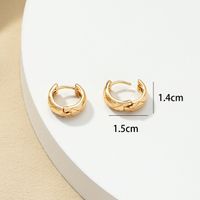 Europäischer Und Amerikanischer Modeschmuck 1 Paar Exquisite Ohrringe Ohrringe Design Ohrringe  Ohrringe Qingdao Jewelry Factory main image 5