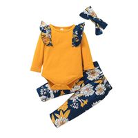 2021 Foreign Trade Children's Wear Baby Long Sleeved Romper Suit European And American Autumn Baby Jumpsuit Floral Two-piece Suit sku image 3