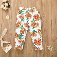 Children New Lotus Leaf Lace Skirt Trousers Printing Two-piece Suit Wholesale Nihaojewelry main image 5