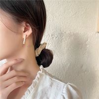 Korean Simple Pearl Tassel Earrings Wholesale Nihaojewelry main image 5