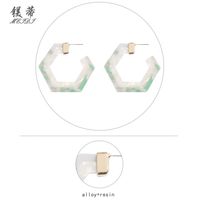 Hexagonal Geometric Resin Earrings Wholesale Nihaojewelry main image 3