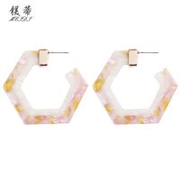 Hexagonal Geometric Resin Earrings Wholesale Nihaojewelry main image 5