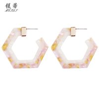 Hexagonal Geometric Resin Earrings Wholesale Nihaojewelry sku image 1