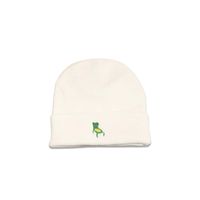 Korean Style Cute Embroidery Frog Knitted Hat Wholesale Nihaojewelry sku image 1
