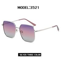 Sunglasses Women's 2022 New Polarized Sunglasses Women's Fashion Large Rim Sunglasses Trendy Outdoor Sunglasses sku image 9