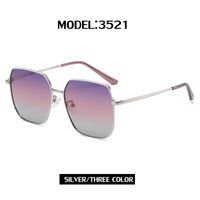 Gafas De Sol Para Mujer 2022 Nuevas Gafas De Sol Polarizadas De Moda Para Mujer Gafas De Sol De Borde Grande De Moda Para Exteriores sku image 9