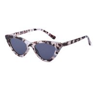 Fashion Small Frame Cat Eye Sunglasses Wholesale sku image 4