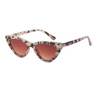 Fashion Small Frame Cat Eye Sunglasses Wholesale sku image 6