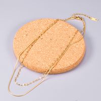 Wholesale Jewelry Snake Bone Chain Double-layer Titanium Steel Necklace Nihaojewelry sku image 2