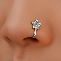 Fashion Copper Inlaid Zircon Star Nose Nail Wholesale Nihaojewelry main image 3