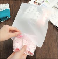 Korean Translucent Waterproof Underwear Clothing Finishing Ziplock Bag Wholesale Nihaojewelry main image 2