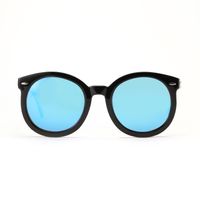 Polarisierte Runde Nietenbrille Mit Blauem Rahmen Großhandel Nihaojewelry main image 4