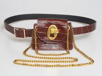 2020 Spring And Summer New Women's Cross-body Bag Multi-usage Personality Chain Small Bag Crocodile Vintage Chain Belt Waist Bag main image 3