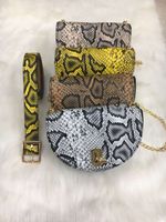 Snake Pattern Thin Belt Chain Rotating Buckle Coin Purse Wholesale Nihaojewelry main image 2