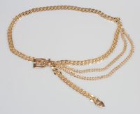 Metal Pendant Pin Buckle Thick Waist Chain Belt Wholesale Nihaojewelry sku image 1
