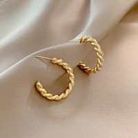 Internet-promi Ins Stil Mode Einfache Ohrringe Weibliche Persönlichkeit Design Metall Twist Ohrringe Kalten Wind All-match Ohrringe sku image 1
