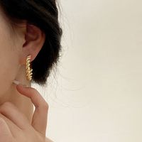 Internet-promi Ins Stil Mode Einfache Ohrringe Weibliche Persönlichkeit Design Metall Twist Ohrringe Kalten Wind All-match Ohrringe main image 3