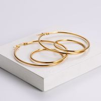 Simple Style Geometric Plating Stainless Steel No Inlaid 18K Gold Plated Earrings main image 5