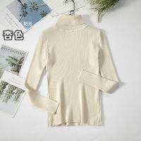 Autumn And Winter Bottoming Shirt New Style Long-sleeved Warm Solid Color Sweater sku image 4