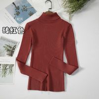 Autumn And Winter Bottoming Shirt New Style Long-sleeved Warm Solid Color Sweater sku image 7