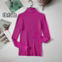 Autumn And Winter Bottoming Shirt New Style Long-sleeved Warm Solid Color Sweater sku image 22