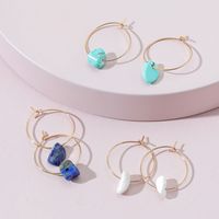 Fashion Jewelry Wholesale Simple Thin Hoop Earrings Rough Earrings Set sku image 1