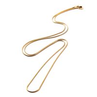 European And American Style Fashion Simple Snake Bones Chain Personality Sweet Cool Style Korean Style Clavicle Chain Internet Celebrity Same Design Necklace Fashion main image 6