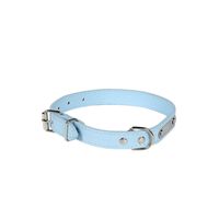Psm Factory Direct Sales Pet Supplies Pu Leather Adjustable Collar Multiple Dog Cat Collar One Piece Dropshipping sku image 8