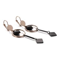 Korean Fashion Metal Stainless Steel Geometric Heart-shaped Earrings Simple Long Earrings sku image 5