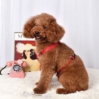 Dog Luminous Leash Pet Vest-style Chest Harness And Dog Leash Small And Medium Pet Products main image 3