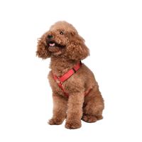 Dog Luminous Leash Pet Vest-style Chest Harness And Dog Leash Small And Medium Pet Products main image 6