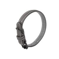 Haustier Pu-leder Verstellbares Halsband Hundekatzen Halsbänder In Mehreren Größen main image 6