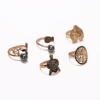 Cross-border Ring Set Fashion Colorful Gray Pearl Hollow Carved Leaves Tortoise Ring 5-piece Set main image 5