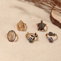 Cross-border Ring Set Fashion Colorful Gray Pearl Hollow Carved Leaves Tortoise Ring 5-piece Set main image 6