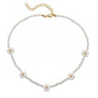 Einfacher Stil Geometrisch Perlen Eingelegte Perlen Frau Halskette main image 6