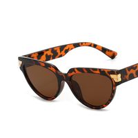 Triangular Cat-eye Sunglasses Wholesale Nihaojewelry main image 4