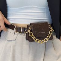 Fashion Stone Pattern Mini Chain Small Waist Bag Wholesale Nihaojewelry main image 1