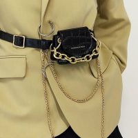 Fashion Stone Pattern Mini Chain Small Waist Bag Wholesale Nihaojewelry main image 6