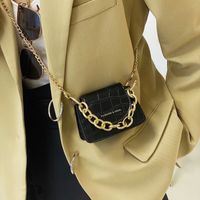 Fashion Stone Pattern Mini Chain Small Waist Bag Wholesale Nihaojewelry main image 5