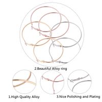 Fashion Geometric Circle Alloy Earrings Wholesale Nihaojewelry main image 4