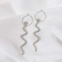 Retro Snake-shaped Long Earrings Wholesale Nihaojewelry main image 6
