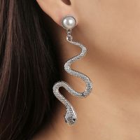Retro Snake-shaped Long Earrings Wholesale Nihaojewelry sku image 10
