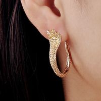 Retro Snake-shaped Long Earrings Wholesale Nihaojewelry sku image 1