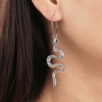 Retro Snake-shaped Long Earrings Wholesale Nihaojewelry sku image 6